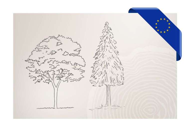 Europisches Schnittholz