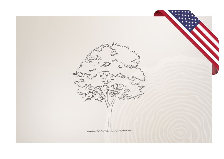 Amerikanisches Laubschnittholz